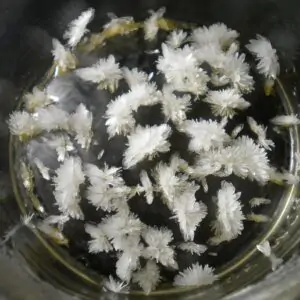 Buy DMT Crystals Online