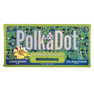 PolkaDot Matcha Blueberry | 5g Mushroom Belgian Chocolate Bar | 250mg Per Piece